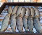 IMG_20250524_110723.jpg