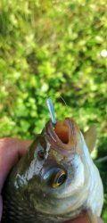 IMG_20250524_203340.jpg