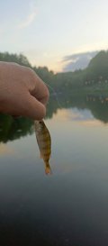 IMG_20250523_204133_275.jpg