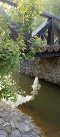 IMG_20250523_190850_324.jpg