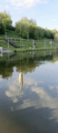 IMG_20250523_184316_559.jpg