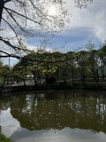 IMG_0566.jpeg