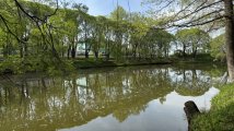 IMG_0567.jpeg