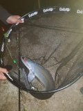 IMG-20250524-WA0065.jpg