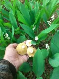 20250524_064613.jpg