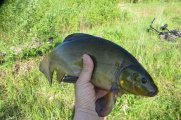 IMG_6896.jpg