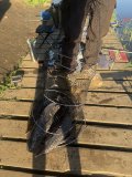 IMG_4449.jpeg