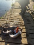 IMG_4447.jpeg