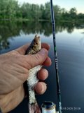 IMG_20250523_202828.jpg
