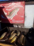 IMG-20250525-WA0012.jpg