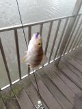 IMG_20250505_074820_419.jpg