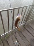 IMG_20250505_074817_652.jpg