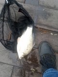 IMG_20250505_074353_044.jpg