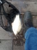IMG_20250505_074339_783.jpg