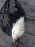 IMG_20250505_074334_043.jpg