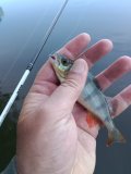 IMG_20250525_072119.jpg