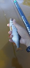 IMG_20250525_091753.jpg