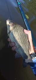 IMG_20250525_085937.jpg