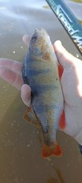 IMG_20250525_084414.jpg
