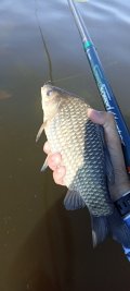 IMG_20250525_085928.jpg