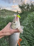 IMG_0470.jpeg