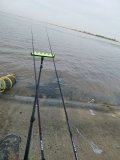 IMG_20250525_065851.jpg