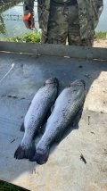 IMG_8801.jpeg