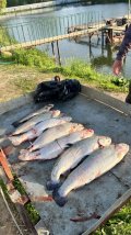 IMG_8811.jpeg