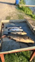IMG_8815.jpeg