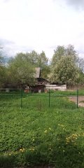 IMG_20250525_122024.jpg