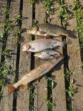IMG_20250525_165431.jpg