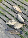IMG_20250525_201345.jpg