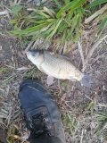 IMG_20250525_191135.jpg
