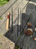 IMG_5344.jpeg