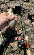 IMG_5335.jpeg