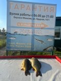 IMG-20250525-WA0024.jpg