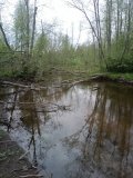 IMG_20250523_133656.jpg