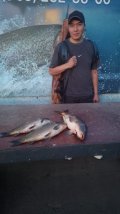 IMG-20250525-WA0063.jpg