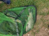 IMG-20250523-WA0010.jpg