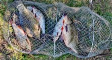 IMG_20250525_215748.jpg
