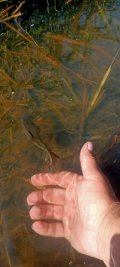 IMG20250526094216.jpg