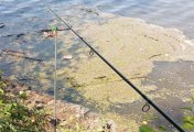 IMG_20250526_101635_1.jpg