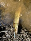 IMG_1846.jpeg