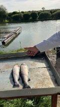 IMG_8854.jpeg