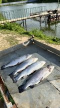 IMG_8852.jpeg