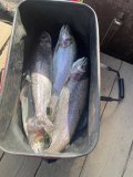 IMG_0428.jpeg