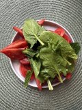 IMG_0980.jpeg