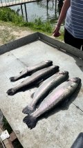 IMG_8886.jpeg