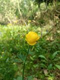 IMG_20250527_150549.jpg