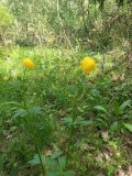 IMG_20250527_150553.jpg